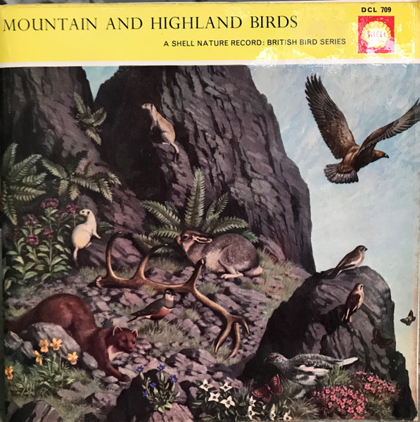 Mountain And Highland Birds