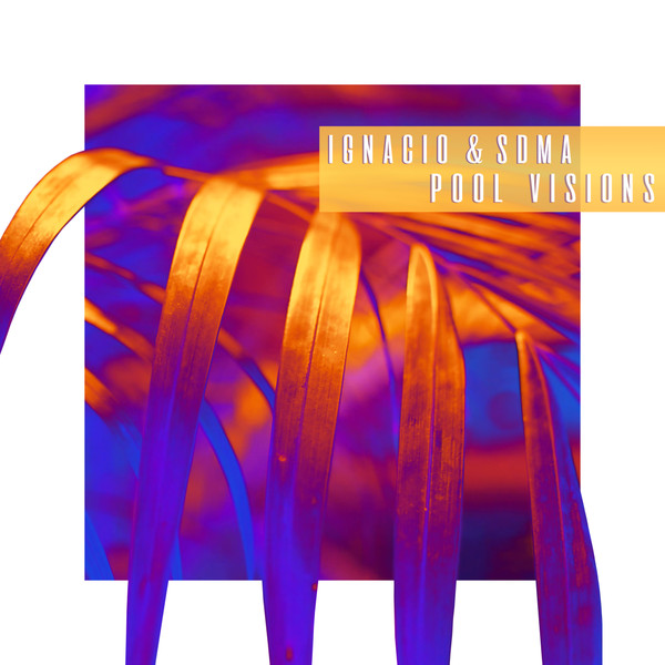 Pool Visions (Organic Groove Mix)