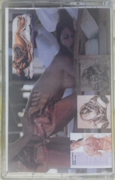 Breeding Maggots / Post-mortem Dissection