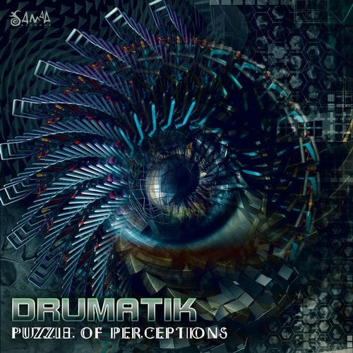 Puzzle Of Perceptions