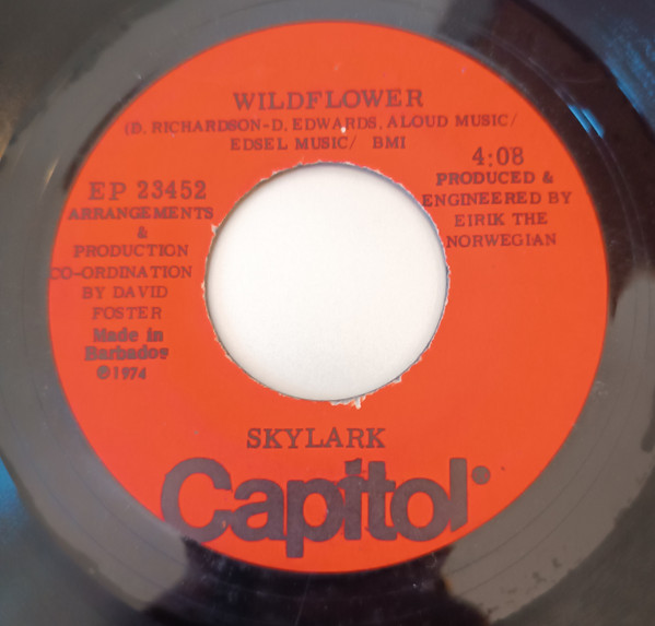 Wildflower / You Remind Me Of A Friend