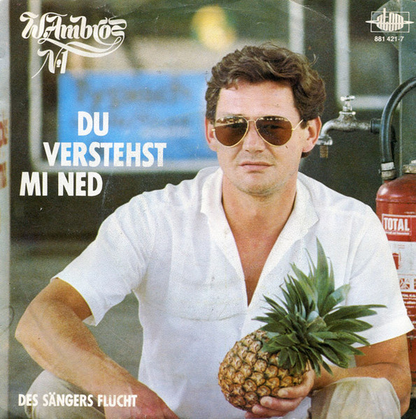 Du Verstehst Mi Ned
