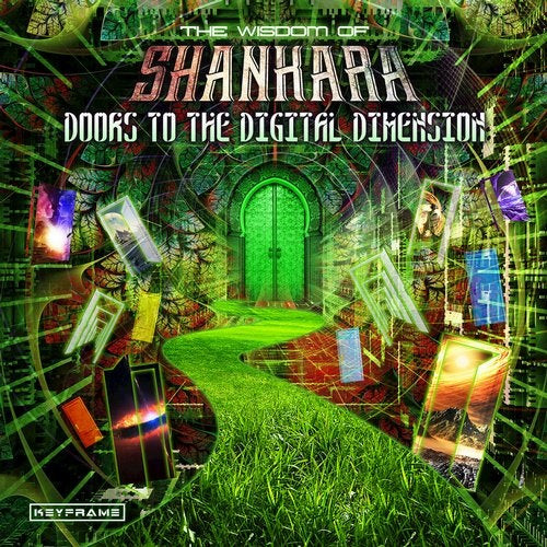 Doors To The Digital Dimension