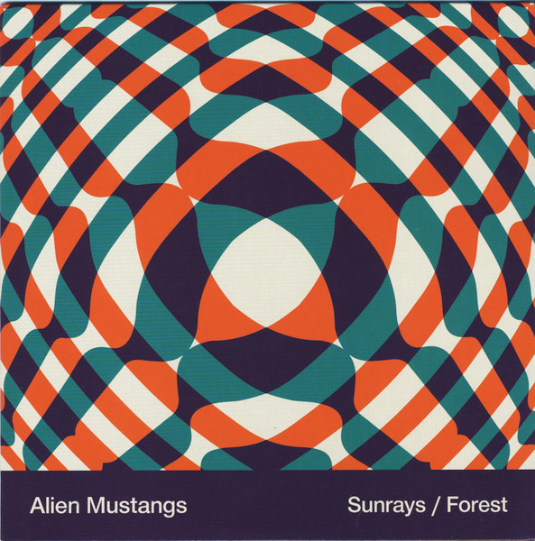 Sunrays / Forest