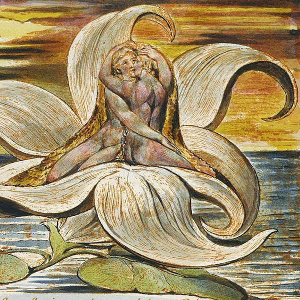 Il Regno E Il Giardino