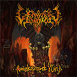 Awakened Fury