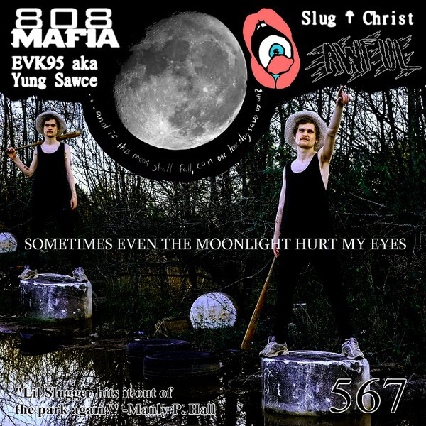 Sometimes Even The Moonlight Hurt My Eyes