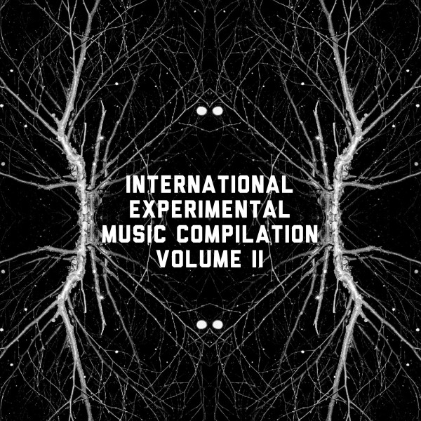 Broken Tape Records Presents: International Experimental Music Compilation (200 Way Split)