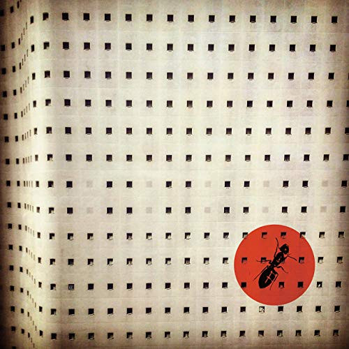 The Ants (Feeding Chain Pt.2)