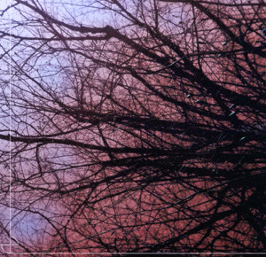 Slow Music For Rapid Eye Movement