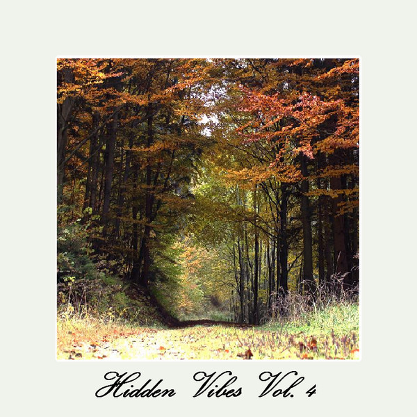 Hidden Vibes Vol. 4