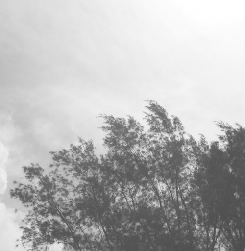Diluvio