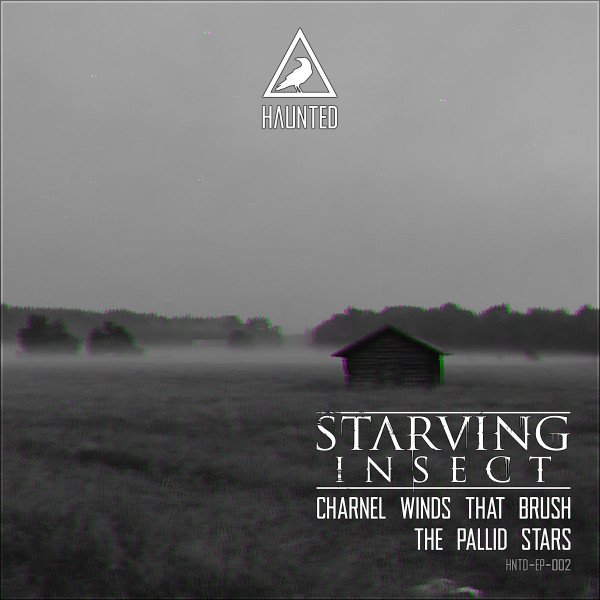 Charnel Winds That Brush The Pallid Stars