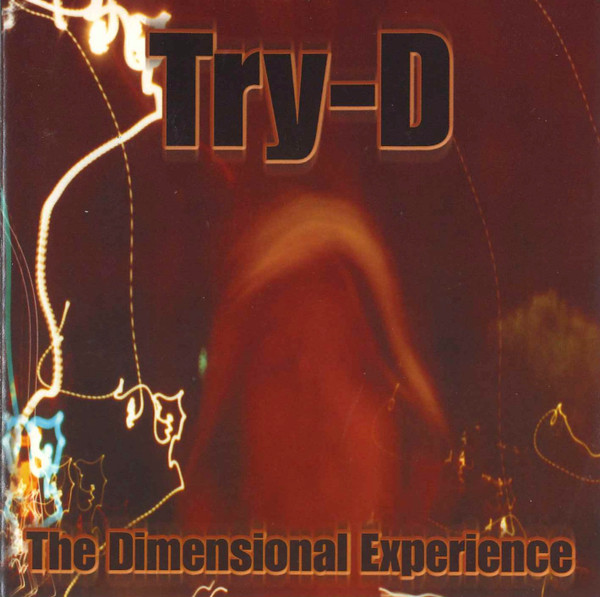 The Dimensional Experience