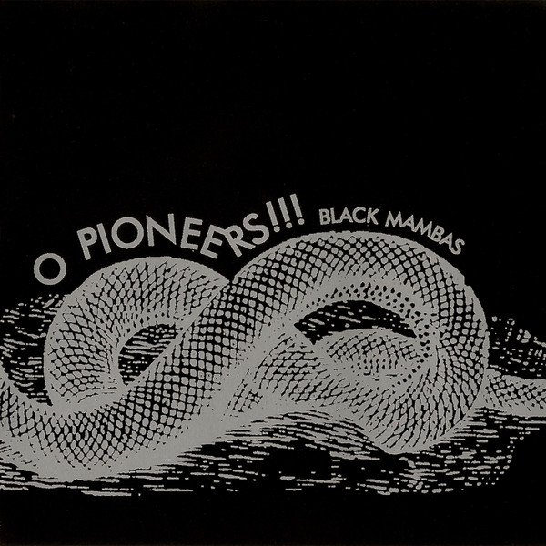 Black Mambas