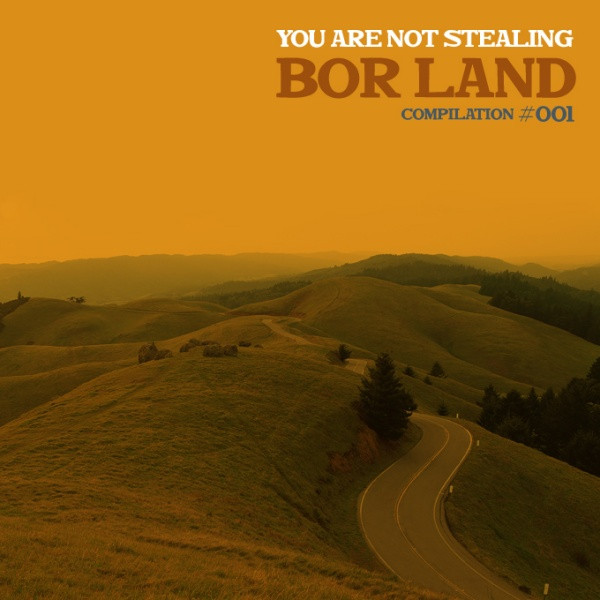 You Are Not Stealing Bor Land