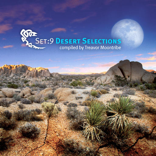 Set:9 Desert Selections