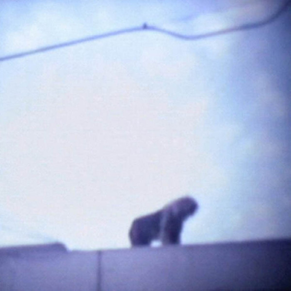 Niño Dopado Mirando El Cielo