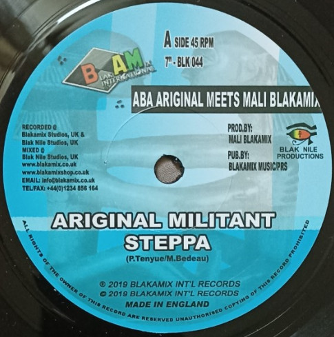 Ariginal Militant Steppa