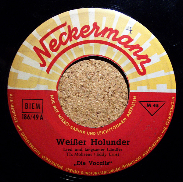 Weißer Holunder