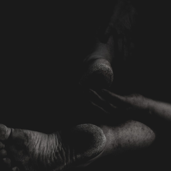 Their Holes Aroused By The Splinters Carved From Their Teeth