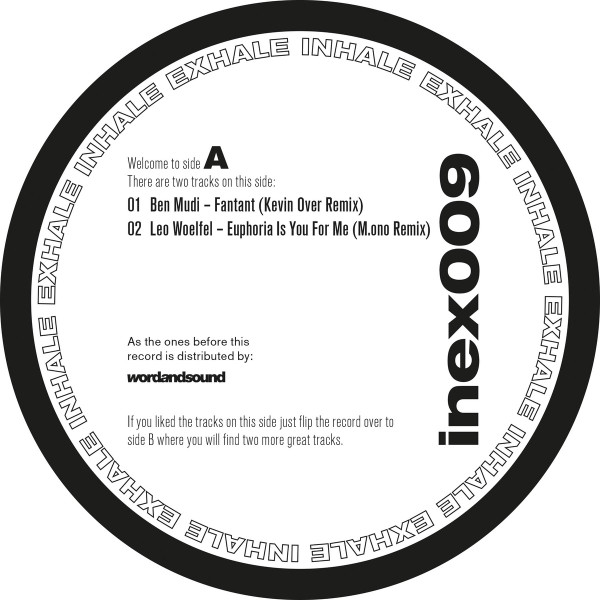 INEX009