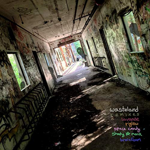 Wasteland Remixes