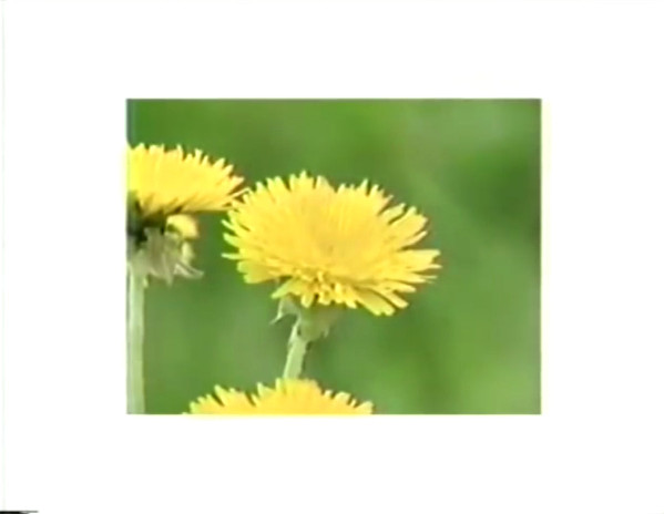 10:00