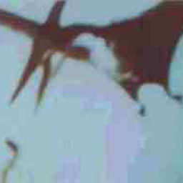 Fractal Pterodactyl