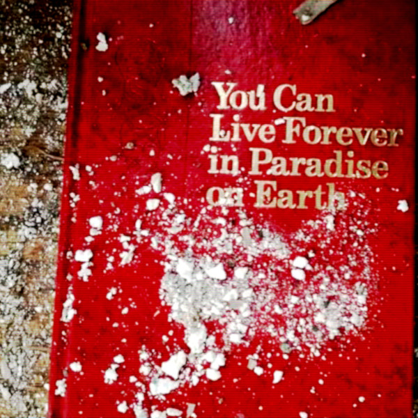 You Can Live Forever In Paradise On Earth