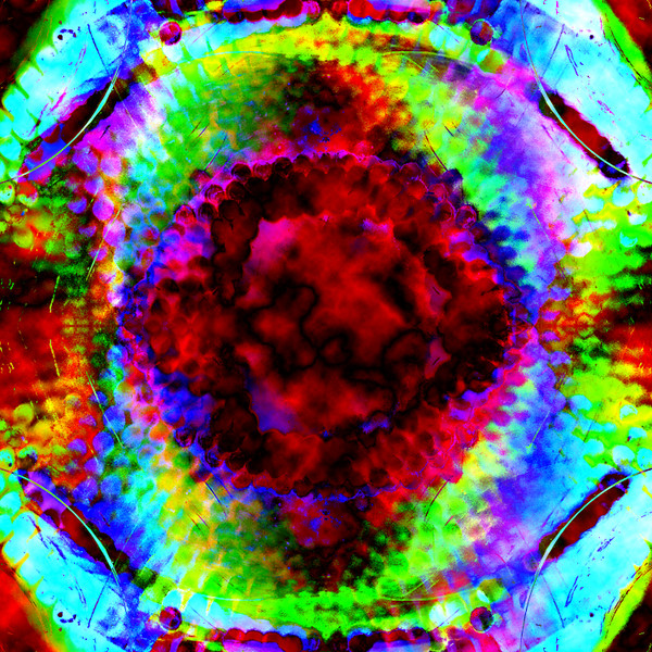 I: Surface Reality