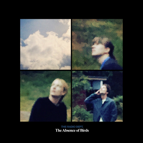 The Absence Of Birds