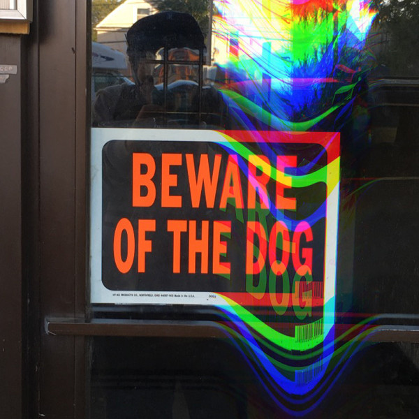 Beware of The Dog Dog