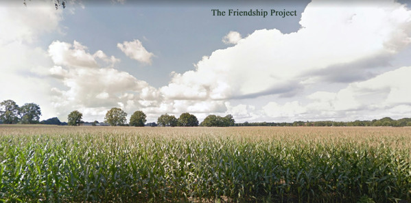 The Friendship Project