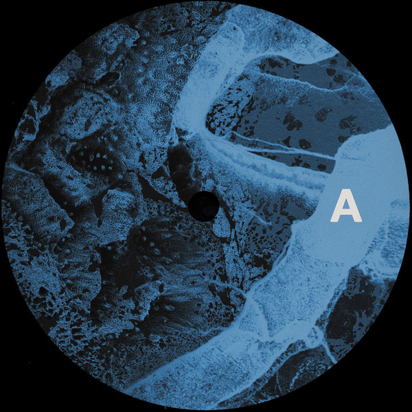 Fanout EP