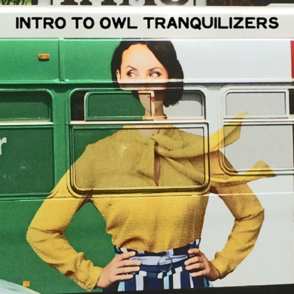 Intro To Owl Tranquilizers