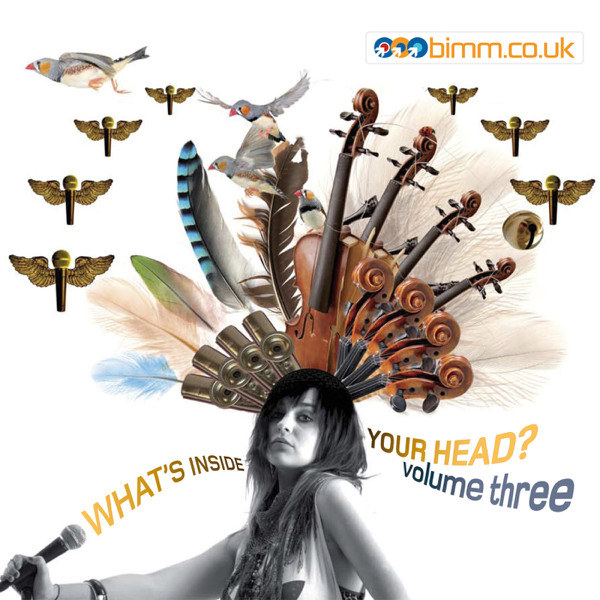BIMM - What's Inside Your Head?, Volume Three