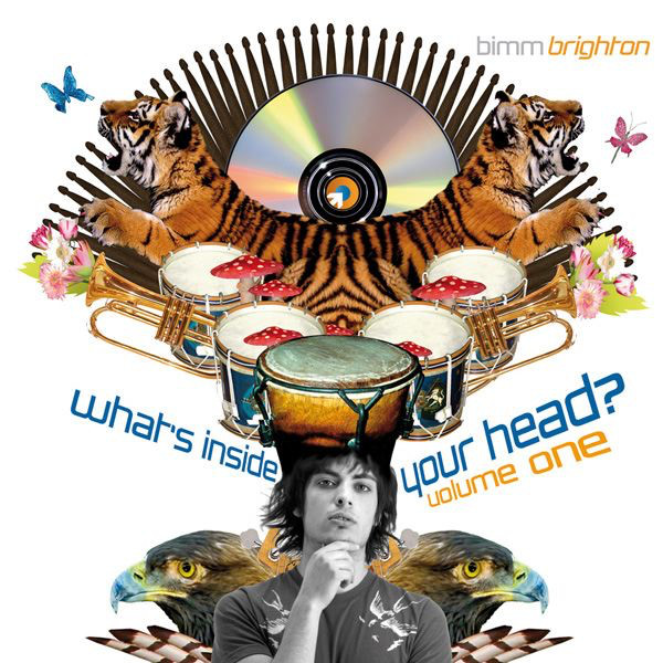 BIMM - What's Inside Your Head, Volume One