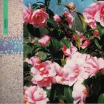 Passing Place EP