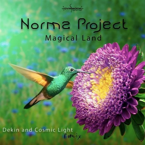 Magical Land (Dekin And Cosmic Light Remix)