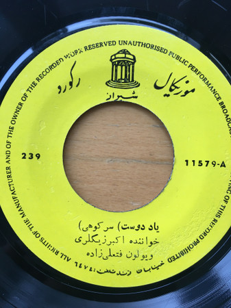 (دشتی / یاد دوست (سرکوهی