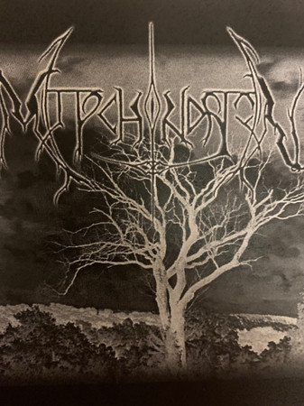Mitochondrion