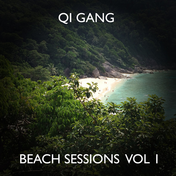 The Beach Sessions Vol 1