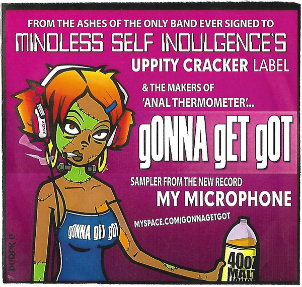 My Microphone Sampler