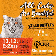 All Cats Are Beautiful - Soli Sampler für Project Shelter