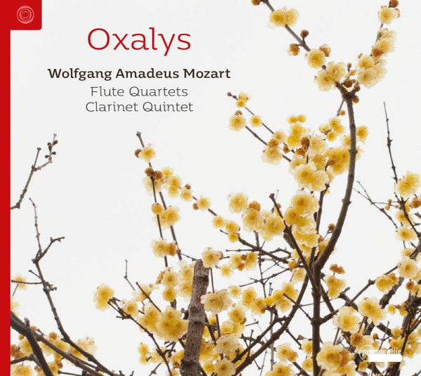 Flute Quartets; Clarinet Quintets