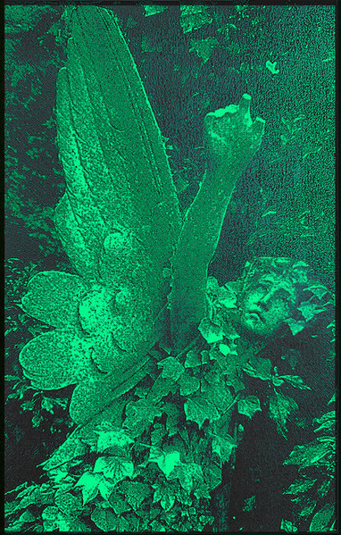 Their Verdant Reclamation