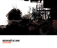 Coninae