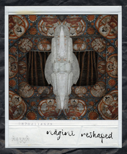 Nāginī Reshaped