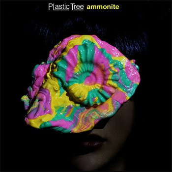 Ammonite 